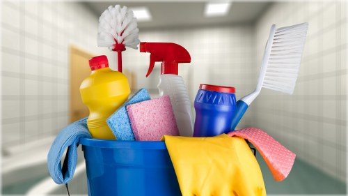 Professional carpet cleaning team completing a safe service in Kew