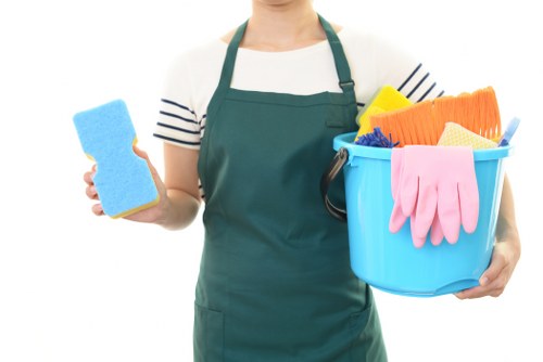 Professional hot water extraction carpet cleaning equipment in Kew