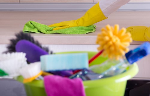 Cleaning products used for pet stain odour removal in Kew