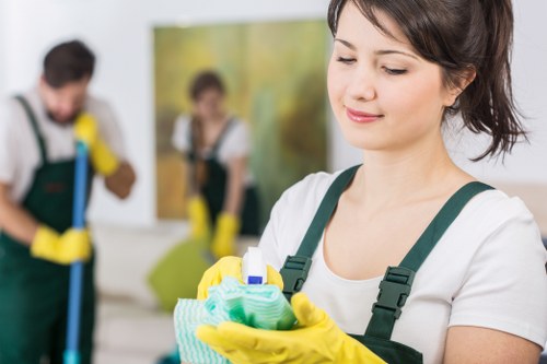 Deep carpet cleaning equipment used in a Kew home
