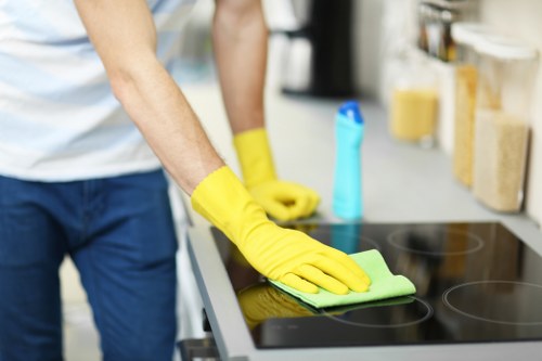 Deep cleaning process for a rug in Kew home