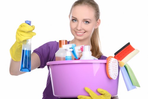 Professional carpet cleaning process during a domestic or commercial appointment