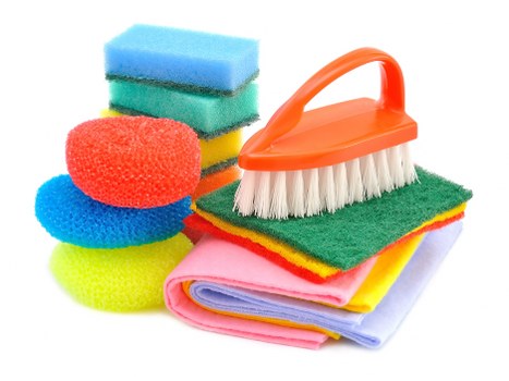 Fresh and clean living room after pet stain odour removal