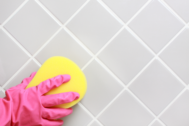 cleaning services window cleaning